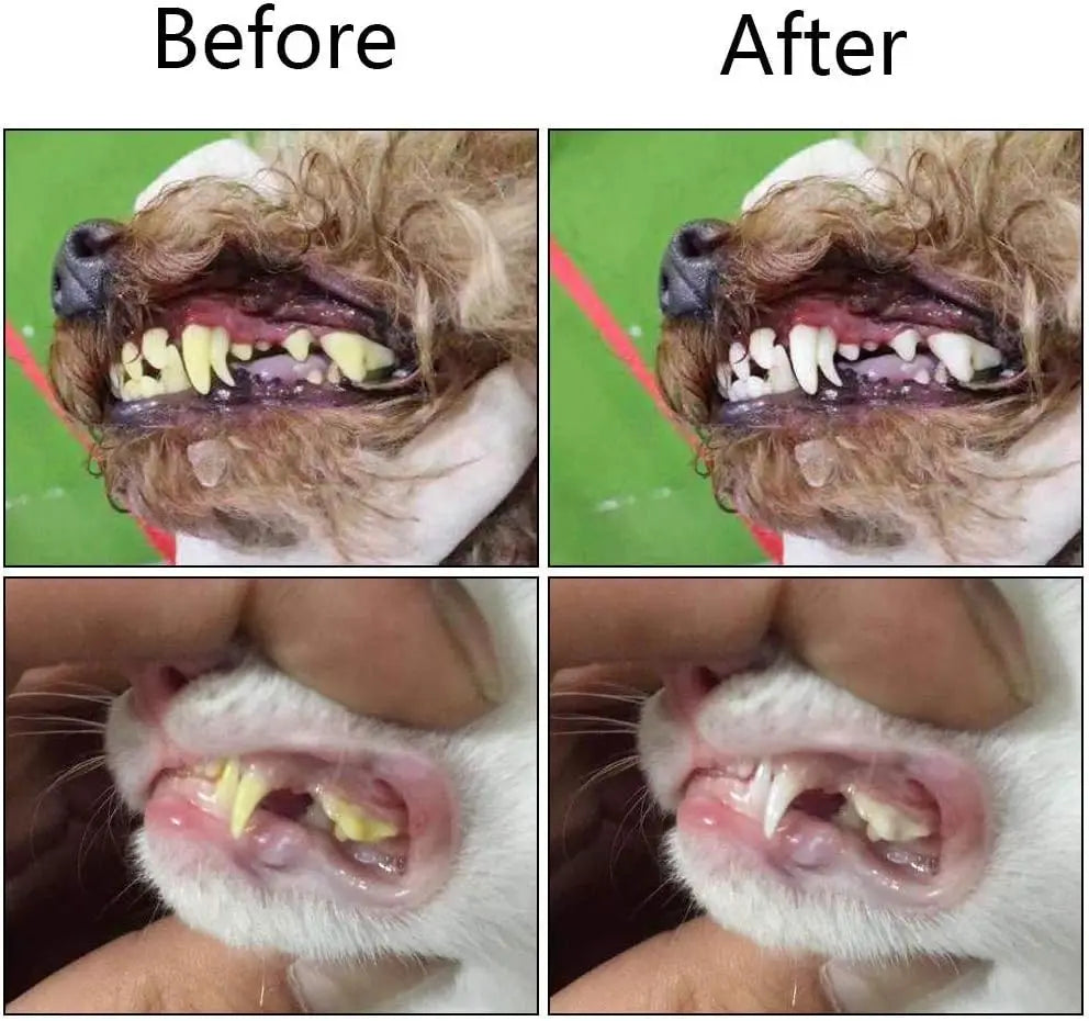 Silicone Finger Toothbrush for Dogs & Cats – Soft Dental Cleaning Tool