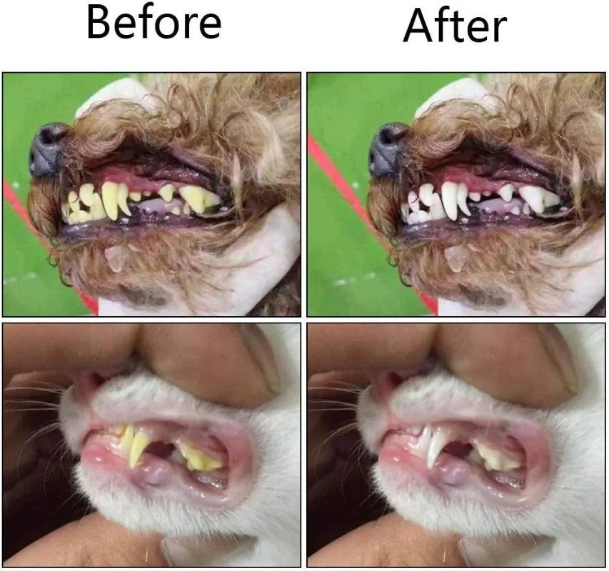 Silicone Finger Toothbrush for Dogs & Cats – Soft Dental Cleaning Tool