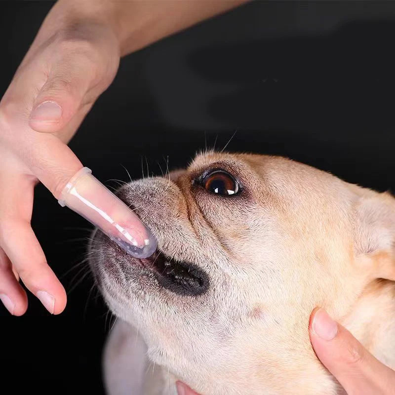 Silicone Finger Toothbrush for Dogs & Cats – Soft Dental Cleaning Tool